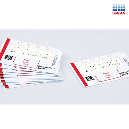 DNA 채취 및 보관 - QIAcard FTA DMPK 카드