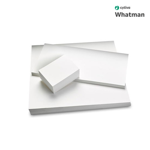 WHATMAN 블라팅 페이퍼 - Grade 3MM Chr(대표상품코드 3030-917)