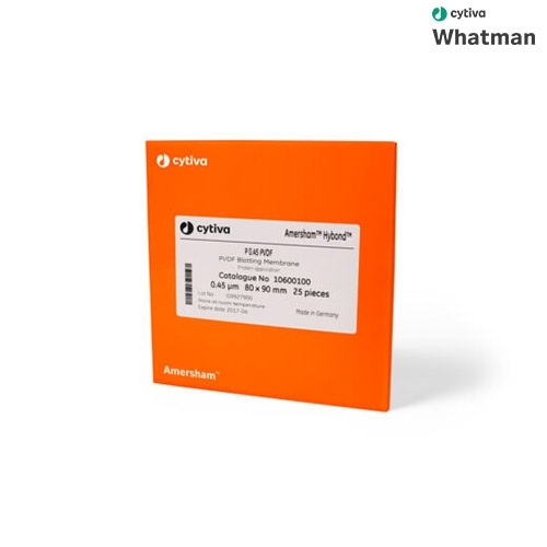 WHATMAN 블라팅 멤브레인 - Amersham Hybond P Sandwich PVDF membrane + 3MM Chr(대표상품코드 10600121)