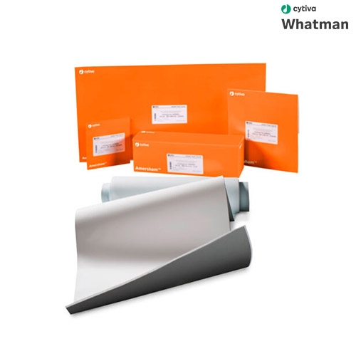 WHATMAN 블라팅 멤브레인 - Amersham Hybond P 0.45 PVDF membrane(대표상품코드 10600023)